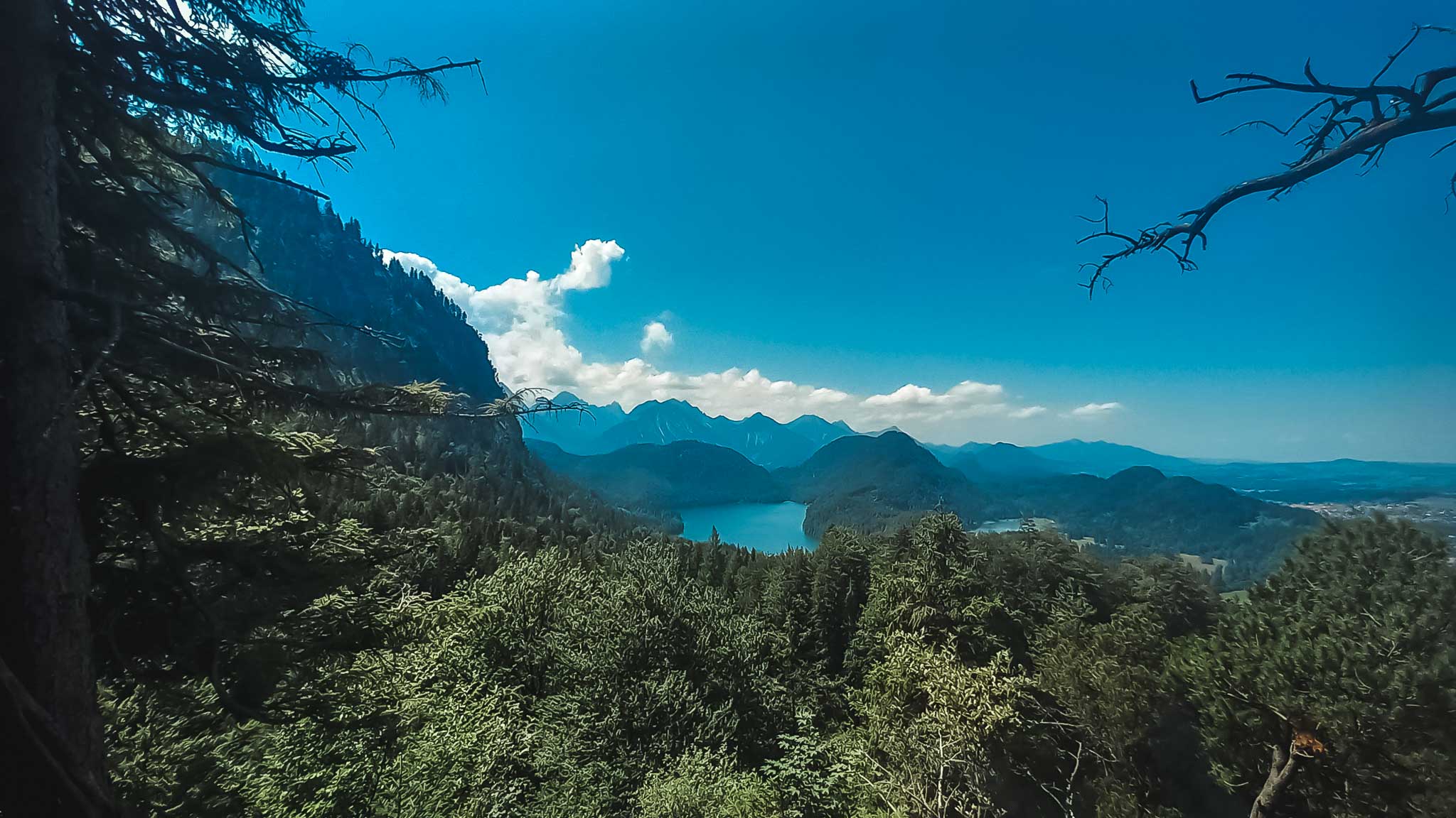 Neuschwanstein Castle